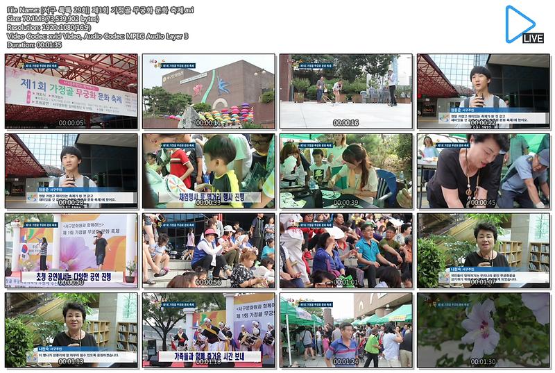 [서구 톡톡 29회] 제1회 가정골 무궁화 문화 축제 사진